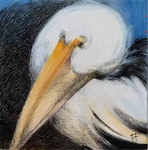 pelican with head tilted, blue white black, yellow beak, fine liner detail