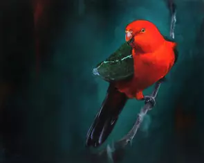Red Parrot perched on branch