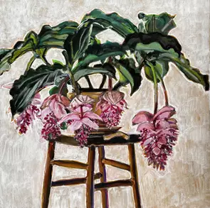 Medinilla Magnifica by Emily Bowen, Oil