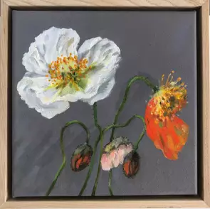 Poppy flower and buds small