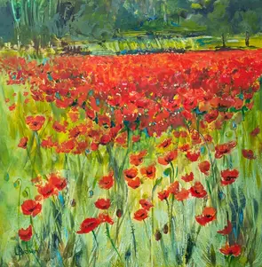 Field of red poppies