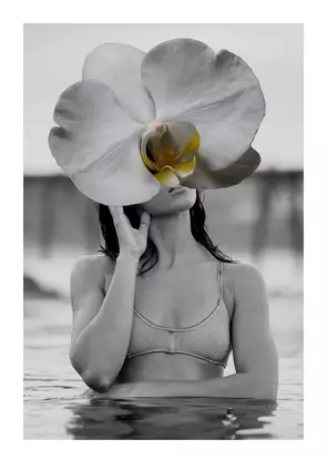 Lost is a perfect blend between photography and digital assets. This art is printed on the highest quality fine art paper an…