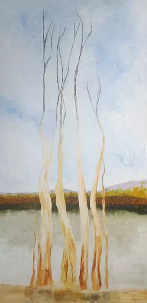Trees on the banks of a quiet lake both in the foreground and the horizon.