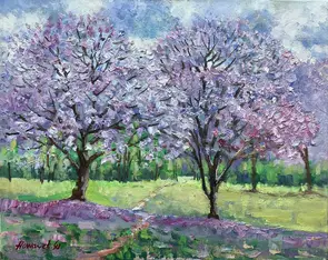 Jacaranda bloom in the park