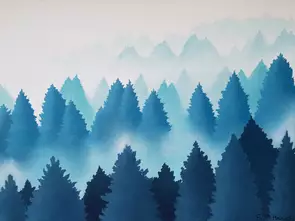 Evergreen treetops on misty mountains
