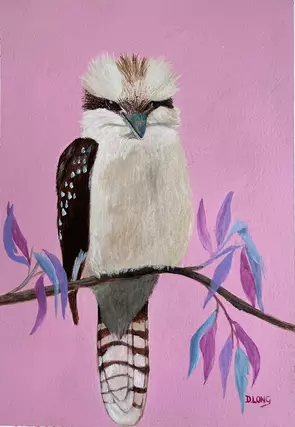 Kookaburra