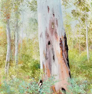 A textured landscape painting of gum trees in a forest. There is a large gum tree trunk in the foreground and smaller trees …