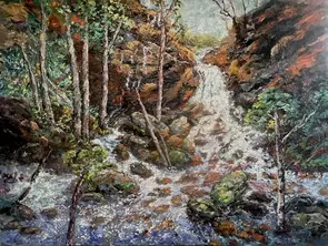 Dramatic forest waterfall with colourful rock faces and water cascading over rocks and around trees.