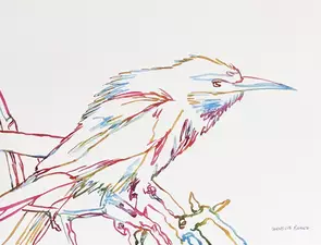 A watchful kookaburra turns its head, appearing to have spotted something worth investigating. Its strong beak, expressive e…