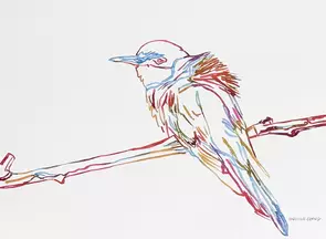 A solitary kookaburra perches on a branch, its familiar silhouette brought to life through a lively arrangement of coloured …