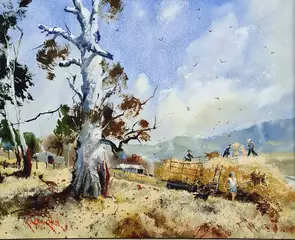 Cocking hay is a traditional farming method, hay is raked into small conical piles called haycocks or pikes.