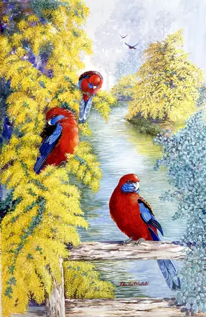 Three Crimson Rosella's feature in the foreground of this painting, with two more flying in in the distance. a creek is flow…
