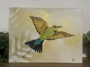 Daintree Rainforest Rainbow Bee Eater
