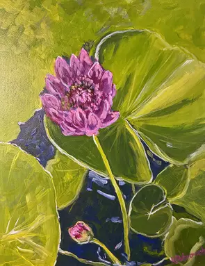Water lillies in a pond