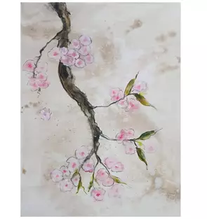 cherry blossom flowers and cherry tree in white, pink nd black.