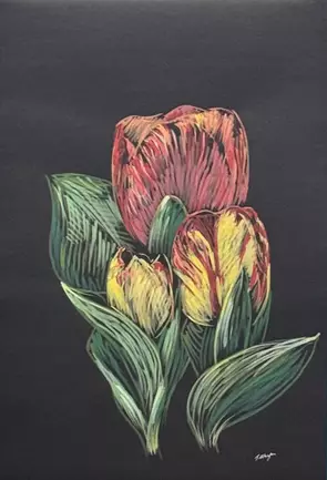 Bright tulip against a black background. Green leaves. Lines.
