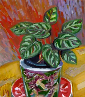 Calathea plant in the patterned pot against bright background