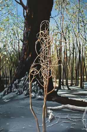 Aftermath at Lerderderg by Nerrida Parfitt, Acrylic