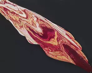 Red and gold fluid abstract