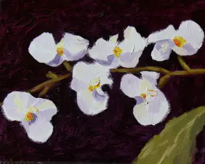 White Orchids by Barry O'Brien, Oil