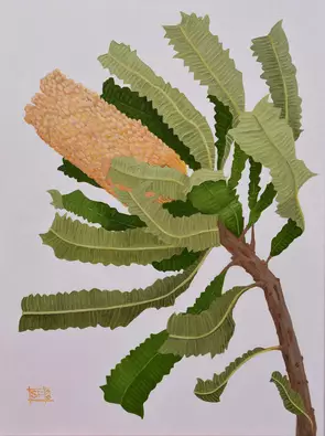 Orange banksia and leaves on pale pink background