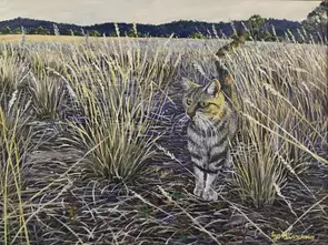 The farm cat in sunrise landscape