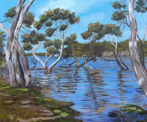flooded gum trees in river