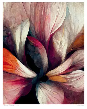Abstract floral art of blush pink, cream and orange petals unfolding against dark shadow, Bloom series