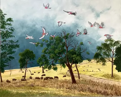 Cattle grazing in a large landscape with trees, galahs flying overhead as big storm clouds gather before drenching the land …