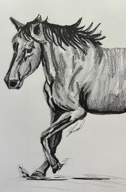 Horse Study by Sarah Knowles, Pencil, Black &amp; White