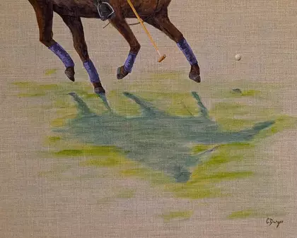 A cropped version of a polo horse in play with the shadow on the ground being the focus
