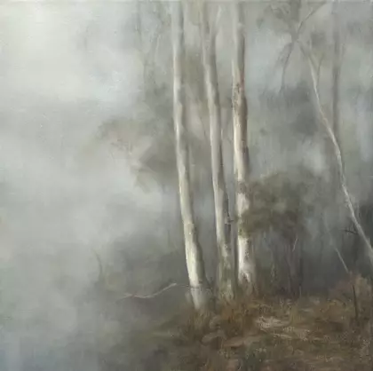 3 pale gums in a misty eucalyptus haze