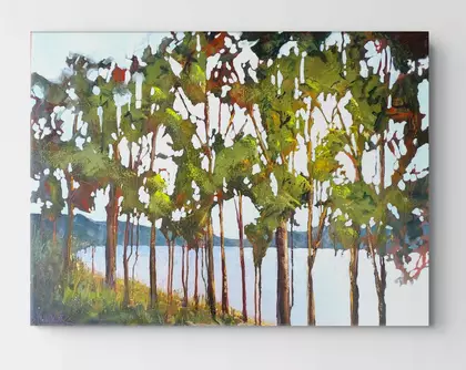 looking through trees to a lake and a distant hills. Sparkling water and sun bursting through the leaves