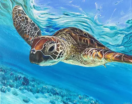 Turtle swimming through the Great Barrier Reef. Made in Brisbane upon receiving order.