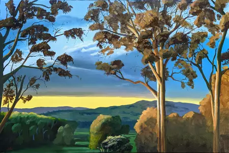 Warm orange and golden light illuminates the gum trees in the sunset.