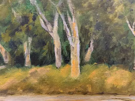 Sunset reflections on Central Australian creek — detail