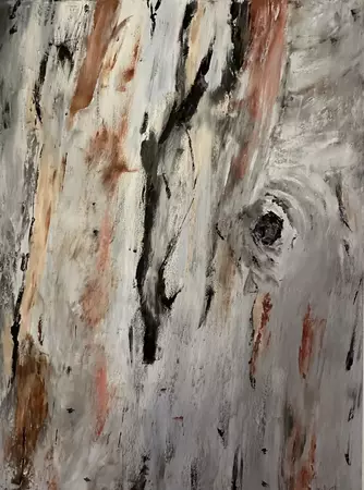 A section of Eucalyptus bark with a gnarly knot