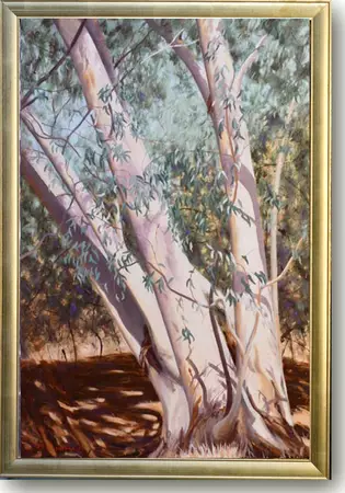 A walk along the river bank with the Red River Gum with shade