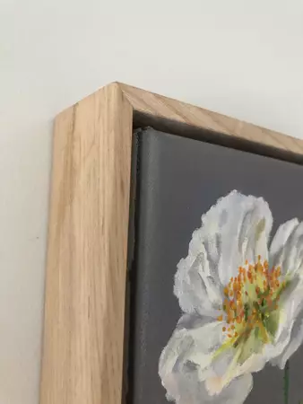 delicate Poppy flowers stems and buds — edge view