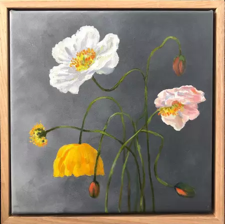 delicate Poppy flowers stems and buds — detail