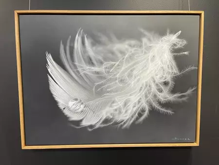 Chris Summer art artist painting feather — shown hanging