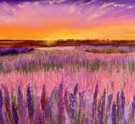 Lavender fields at sunset. — detail