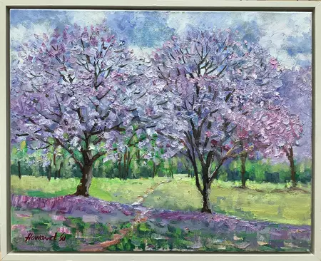 Jacaranda bloom in the park