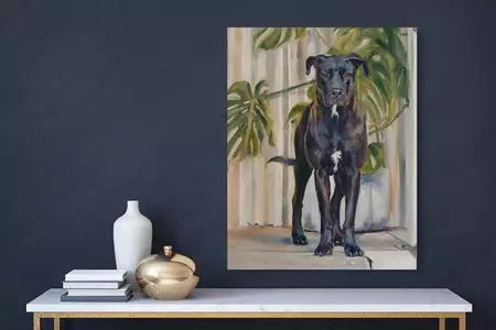 Black dog standing on steps with pot plant — shown hanging