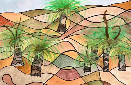Using shape and colour to identify the movement of ground in farming paddocks, dry under the harsh sun and salty ocean air. …