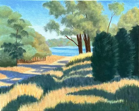 Trees by a lake. Sun and shadow. Pathway by a lake.
