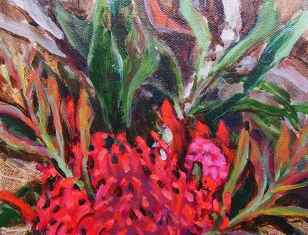 A waratah bloom with 3 stems of new growth sprouting from it. — detail