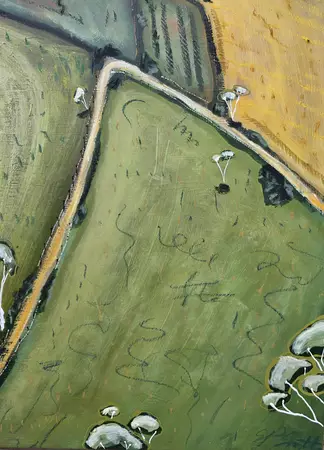 a distorted aerial perspective of fields in a rural town with cows, trees and magpies — artist's signature