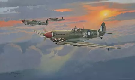 The Spitfire Mk 8 flown by Wing Commander Bobby Gibbes, RAAF, in 1945.