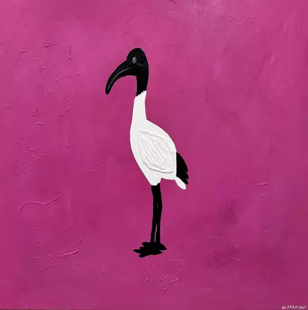 A Bin Chicken standing proud